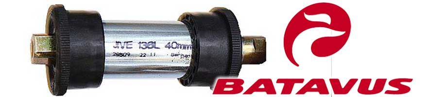 Trapassen Batavus
