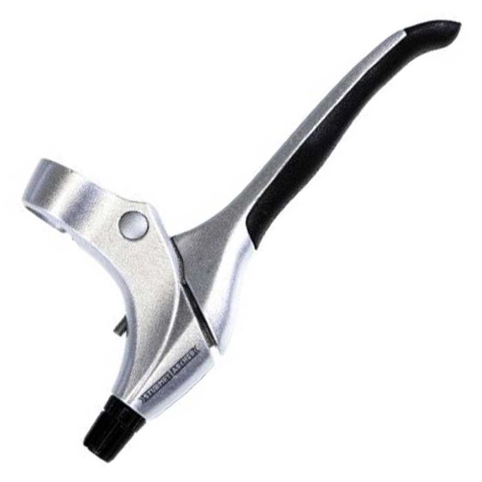 Gazelle zilver sales