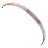 Spatbord achter Gazelle Miss Grace Powder Rose print C-lite 55mm - 311231000